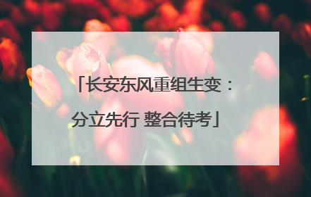 长安东风重组生变：分立先行 整合待考