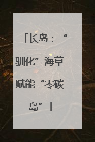 长岛：“驯化”海草赋能“零碳岛”