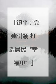 镇平：党建引领 打造居民“幸福里”