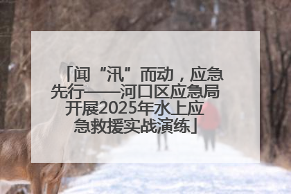 闻“汛”而动，应急先行——河口区应急局开展2025年水上应急救援实战演练
