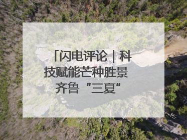闪电评论｜科技赋能芒种胜景 齐鲁“三夏”画卷更壮美
