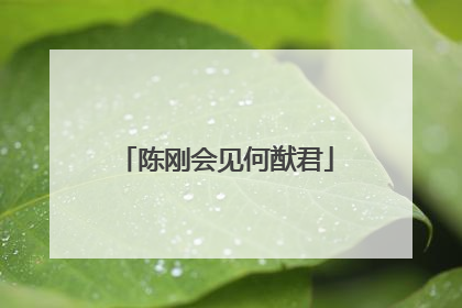 陈刚会见何猷君