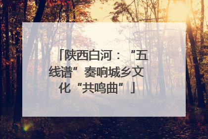 陕西白河：“五线谱”奏响城乡文化“共鸣曲”