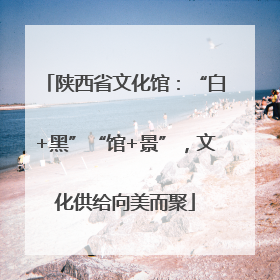 陕西省文化馆：“白+黑”“馆+景”，文化供给向美而聚