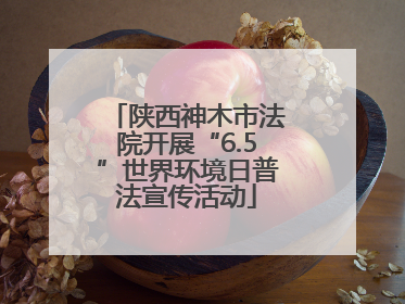 陕西神木市法院开展“6.5”世界环境日普法宣传活动