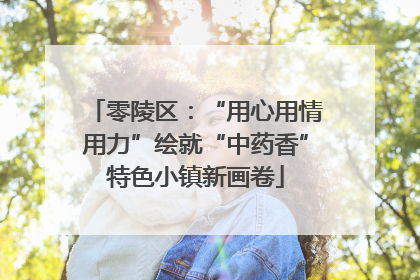 零陵区：“用心用情用力”绘就“中药香”特色小镇新画卷