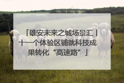 雄安未来之城场景汇丨十一个体验区铺就科技成果转化“高速路”