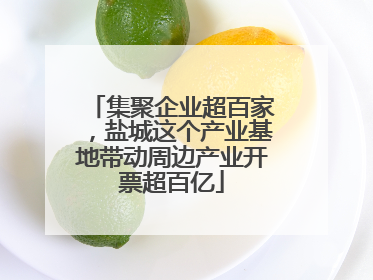集聚企业超百家，盐城这个产业基地带动周边产业开票超百亿