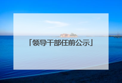 领导干部任前公示