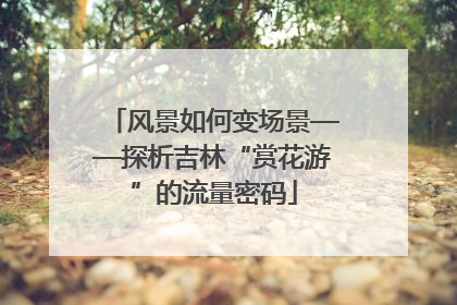 风景如何变场景——探析吉林“赏花游”的流量密码