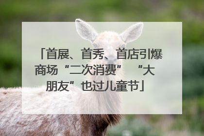 首展、首秀、首店引爆商场“二次消费” “大朋友”也过儿童节