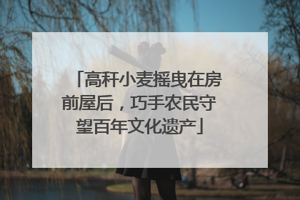 高秆小麦摇曳在房前屋后，巧手农民守望百年文化遗产