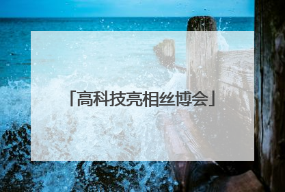高科技亮相丝博会