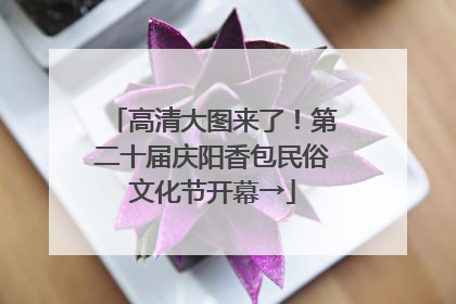高清大图来了！第二十届庆阳香包民俗文化节开幕→