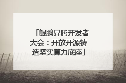 鲲鹏昇腾开发者大会：开放开源铸造坚实算力底座