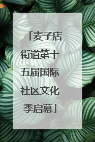 麦子店街道第十五届国际社区文化季启幕