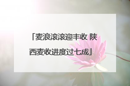 麦浪滚滚迎丰收 陕西麦收进度过七成