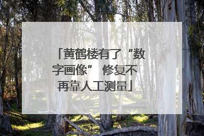 黄鹤楼有了“数字画像” 修复不再靠人工测量
