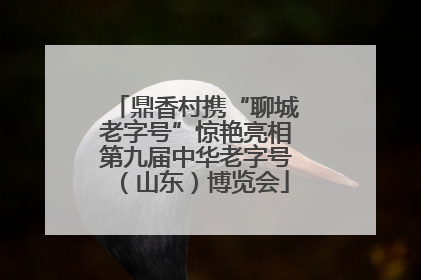 鼎香村携“聊城老字号”惊艳亮相第九届中华老字号（山东）博览会