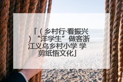 （乡村行·看振兴）“洋学生”做客浙江义乌乡村小学 学剪纸悟文化