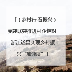 （乡村行·看振兴）党建联建推进村企结对 浙江遂昌实现乡村振兴“加速度”