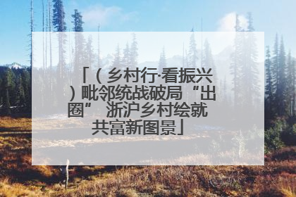 （乡村行·看振兴）毗邻统战破局“出圈” 浙沪乡村绘就共富新图景