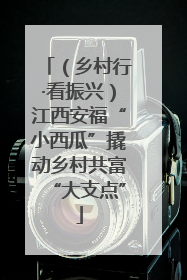 （乡村行·看振兴）江西安福“小西瓜”撬动乡村共富“大支点”