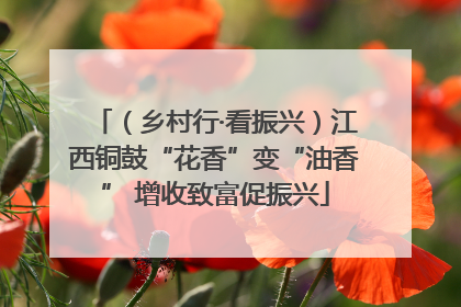 （乡村行·看振兴）江西铜鼓“花香”变“油香” 增收致富促振兴