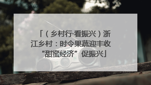 （乡村行·看振兴）浙江乡村：时令果蔬迎丰收 “甜蜜经济”促振兴