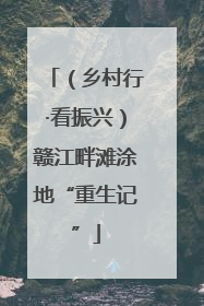 （乡村行·看振兴）赣江畔滩涂地“重生记”