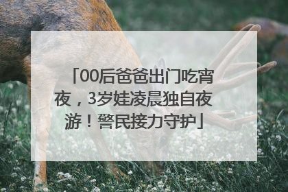 00后爸爸出门吃宵夜，3岁娃凌晨独自夜游！警民接力守护
