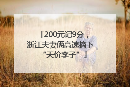200元记9分，浙江夫妻俩高速摘下“天价李子”
