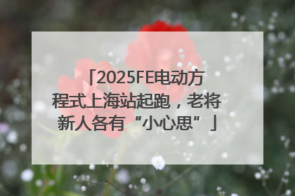2025FE电动方程式上海站起跑，老将新人各有“小心思”
