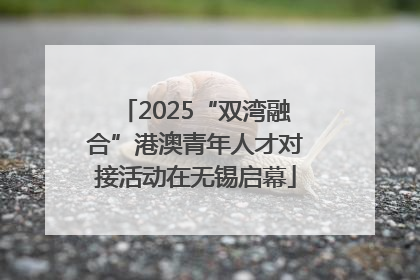2025“双湾融合”港澳青年人才对接活动在无锡启幕