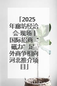 2025年廊坊经洽会·现场丨国际招商“磁力”足 外商争相向河北推介项目