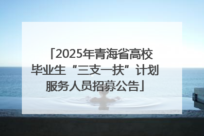 2025年青海省高校毕业生“三支一扶”计划服务人员招募公告