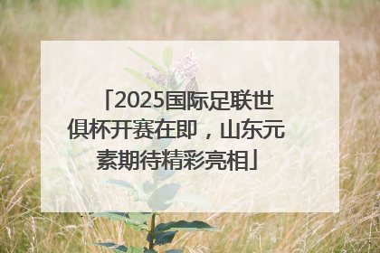 2025国际足联世俱杯开赛在即，山东元素期待精彩亮相