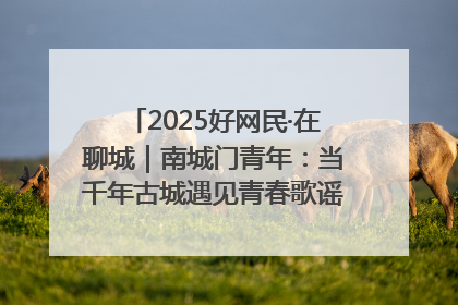 2025好网民·在聊城｜南城门青年：当千年古城遇见青春歌谣 一湖碧水见证的“聊城式浪漫”