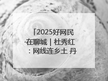 2025好网民·在聊城｜杜秀红：网线连乡土 丹心映桑梓