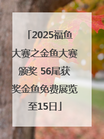 2025福鱼大赛之金鱼大赛颁奖 56尾获奖金鱼免费展览至15日