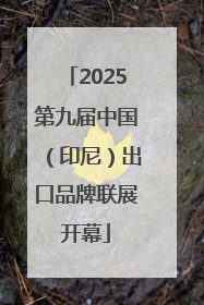 2025第九届中国（印尼）出口品牌联展开幕