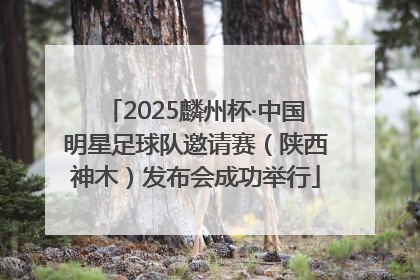 2025麟州杯·中国明星足球队邀请赛（陕西神木）发布会成功举行