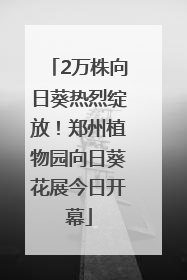 2万株向日葵热烈绽放！郑州植物园向日葵花展今日开幕