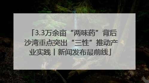 3.3万余亩“两味药”背后 沙湾重点突出“三性”推动产业实践丨新闻发布最前线