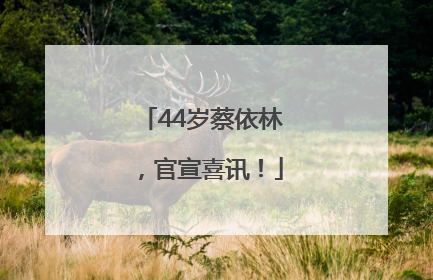 44岁蔡依林，官宣喜讯！