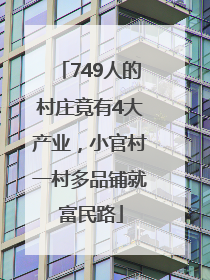 749人的村庄竟有4大产业，小官村一村多品铺就富民路