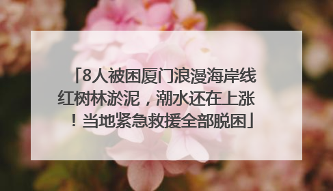 8人被困厦门浪漫海岸线红树林淤泥，潮水还在上涨！当地紧急救援全部脱困