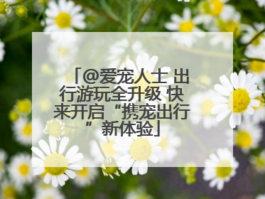@爱宠人士 出行游玩全升级 快来开启“携宠出行”新体验